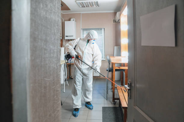 Best Airborne Mold Testing  in Trinidad, CO