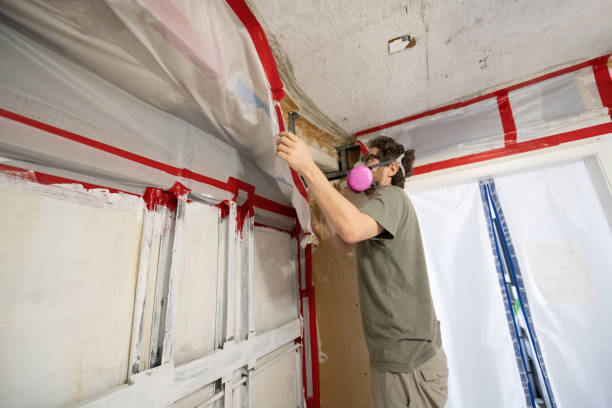 Best Commercial Mold Inspection  in Trinidad, CO