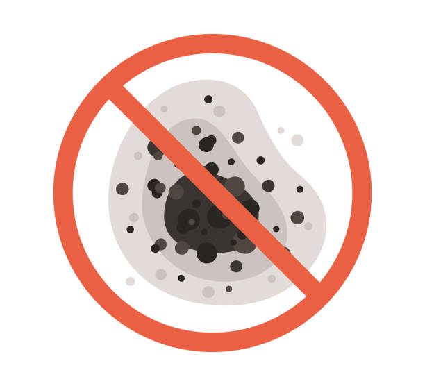 Best Emergency Mold Remediation  in Trinidad, CO