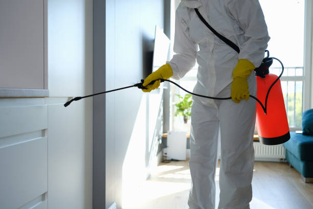 Best Air Quality Testing for Mold Spores  in Trinidad, CO