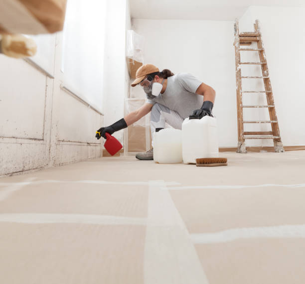 Best Mold Documentation for Insurance Claims  in Trinidad, CO