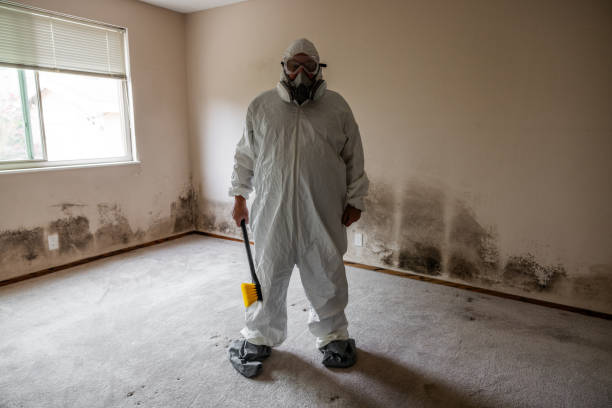 Mold Remediation for Rental Properties in Trinidad, CO